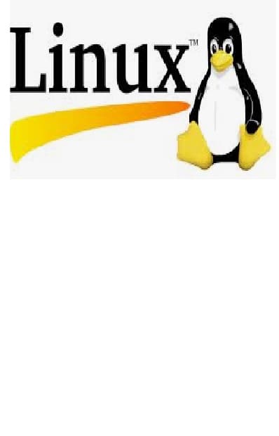 Linux basic command: